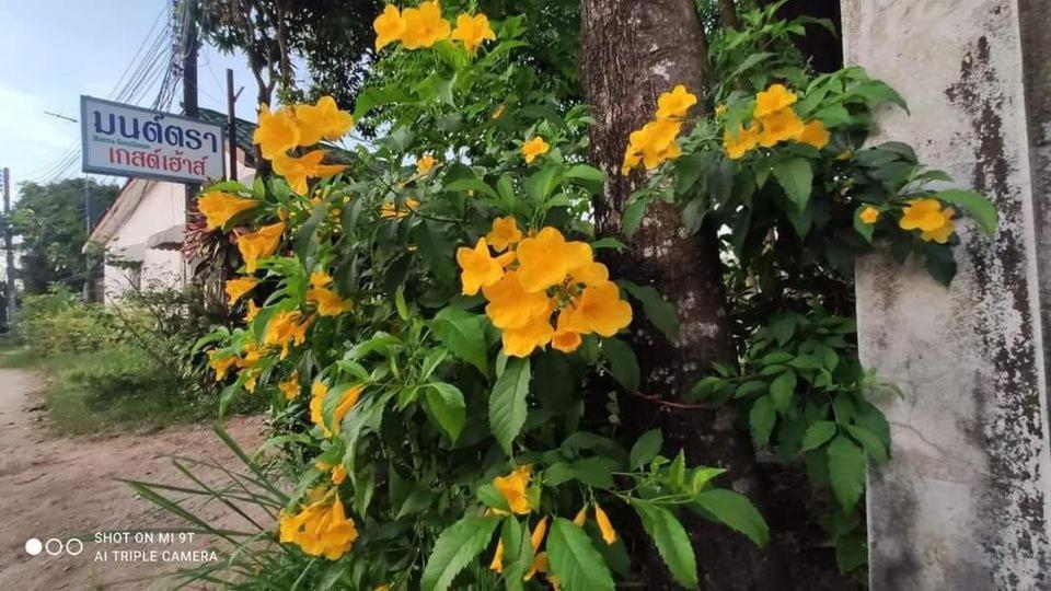 Montra Guesthouse Ranong Kültér fotó